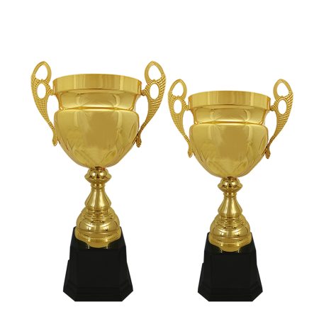 Metal Cup Trophy
