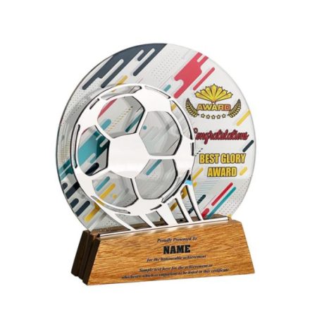 Soccer Trophy