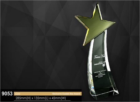 Crystal Plaque 9053