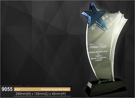 Crystal Plaque 9055