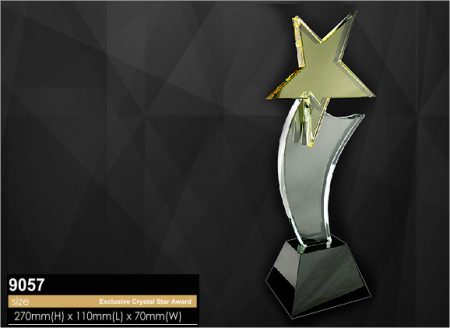 Crystal Plaque 9057
