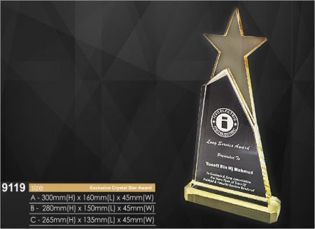 Crystal Plaque 9119