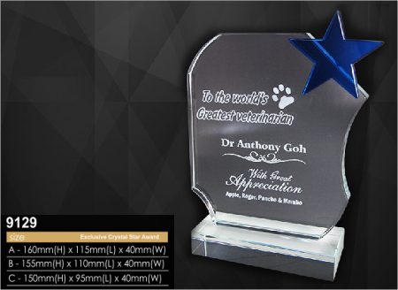 Crystal Plaque 9129