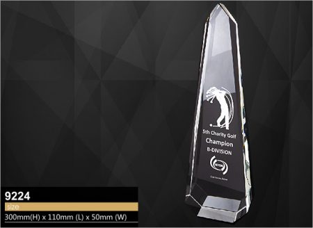 Crystal Plaque 9224