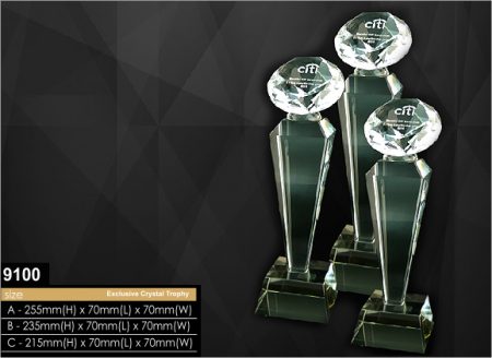 Crystal  Trophy -Diamond-9100