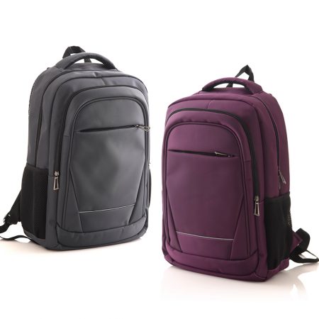 Laptop Backpack-Grey, Purple