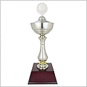 White Silver Trophy 6005
