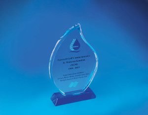 Crystal Plaque D4009