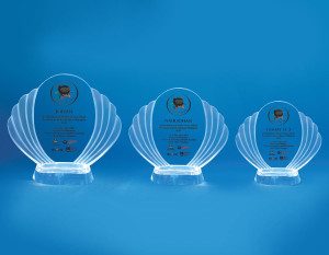 Crystal Plaque D4036 A/B/C