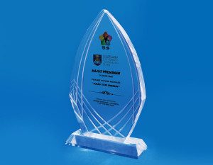 Crystal Plaque D4040