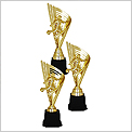 Football Trophy 4220
