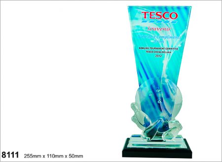 Colour Crystal Bowling Award 8111