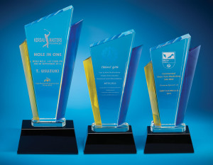 Crystal Trophy CTD3013