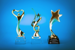 Crystal Trophy CTD5013
