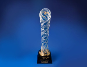 Crystal Trophy CTD4002