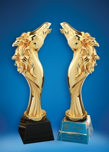 Crystal Trophy CTD5037