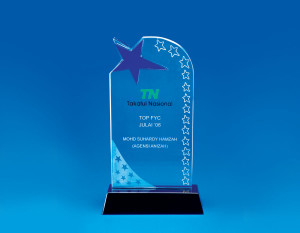 Crystal Plaque Star Award CACS925