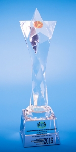 Crystal Plaque Star Award CACS931