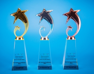 Crystal Plaque Star Award CACS935