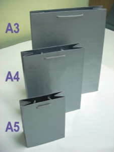Paper Bag - Silver