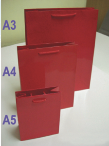 Paper Bag - Red