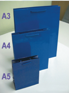 Paper Bag - Blue