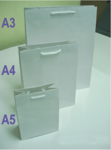 Paper Bag - White