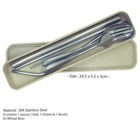ECO Stainless Steel Straw (6 pc set)