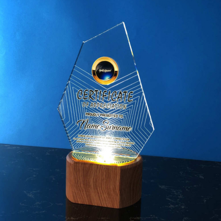 Acrylic LED Lighting Trophy 5056