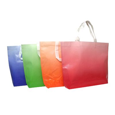 Laminated Non Woven Bag