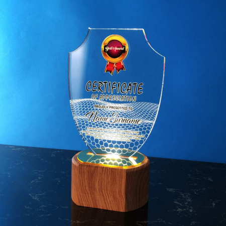 Acrylic LED Lighting Trophy 5057