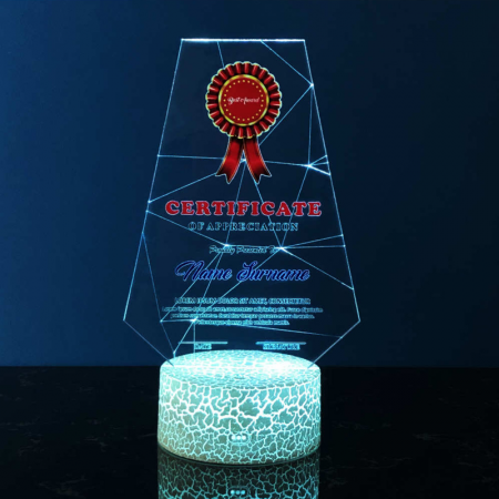 Acrylic LED Lighting Trophy 5071
