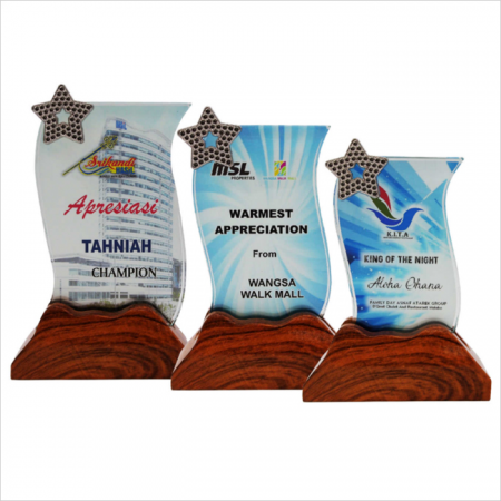 Colour Crystal Awards 8316