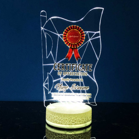 Acrylic LED Lighting Trophy 5064