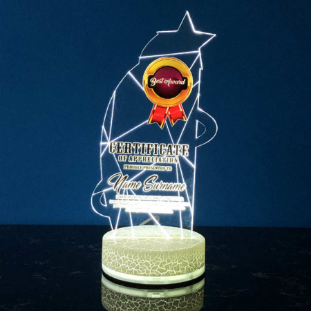Acrylic LED Lighting Trophy 5065