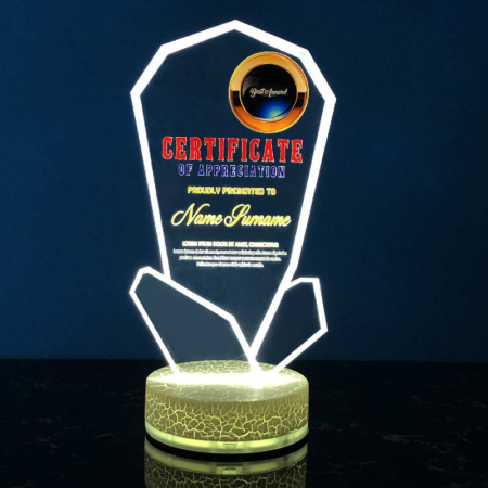 Acrylic LED Lighting Trophy 5066
