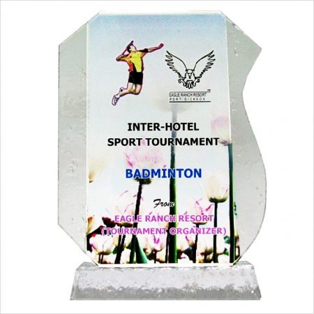 Crystal Glass Award 8127