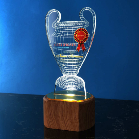 Acrylic LED Lighting Trophy 5053