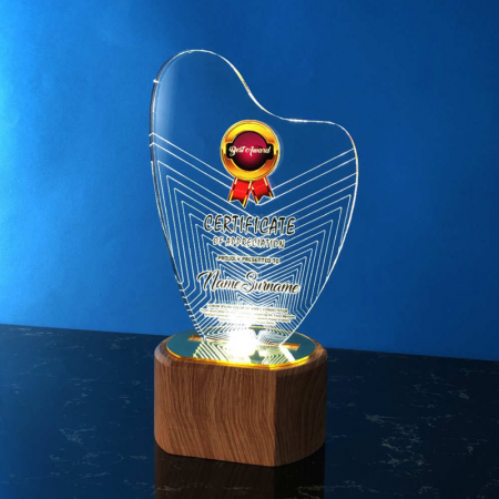 Acrylic LED Lighting Trophy 5055