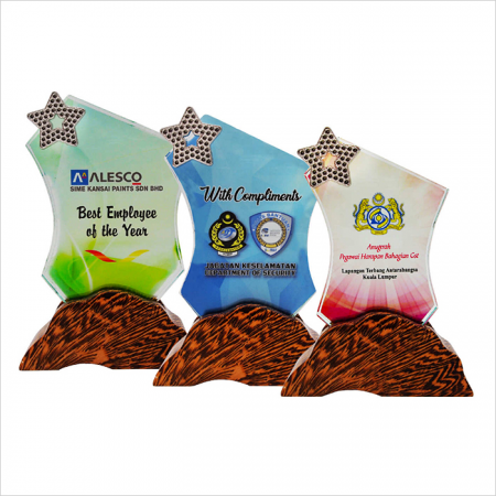 Colour Crystal Awards 8314