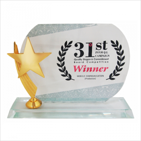 Crystal Star Plaque 3025