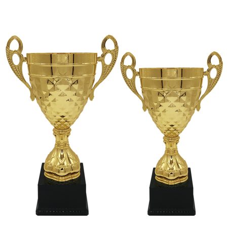 Metal Cup Trophy -492