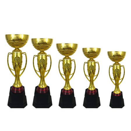 Metal Cup Trophy -704