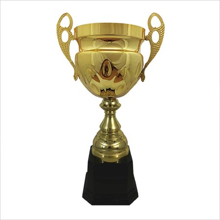 Exclusive Italian Cup -403
