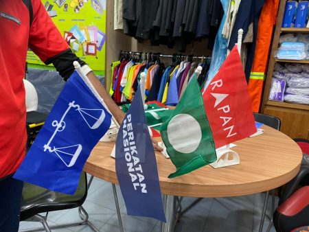 Election Flags/ Hand  Flags