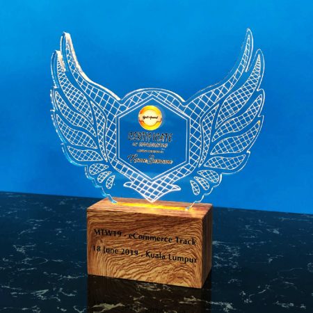 Acrylic LED Lighting Trophy 8805