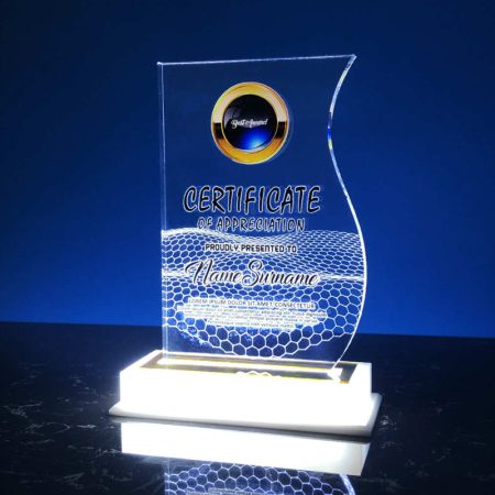 Acrylic LED Lighting Trophy 0805