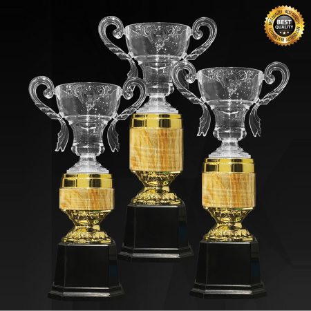 Acrylic Trophy 3534