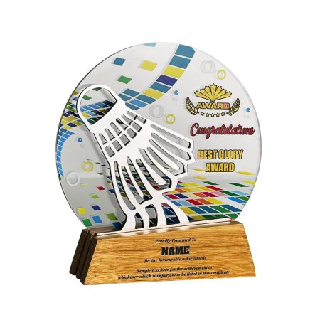 Acrylic Plaque  175mm (H) x 160mm (L) x 43mm (W)