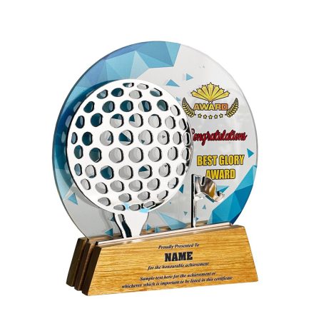Acrylic Plaque  175mm (H) x 160mm (L) x 43mm (W)